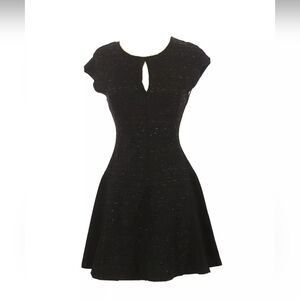 🪅 ARITZIA Wilfred women's Free  Fit and Flare Heather Grey Dress